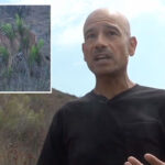 heart-stopping-moment-california-hiker-is-hunted-by-massive-mountain-lion