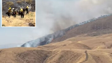 fast-moving-wildfire-tears-through-tejon-pass-forcing-evacuation-warnings