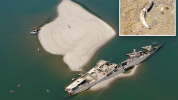 sunken-nazi-ships,-woolly-mammoth-bones-surface-as-danube-river’s-water-levels-drop to-record-low