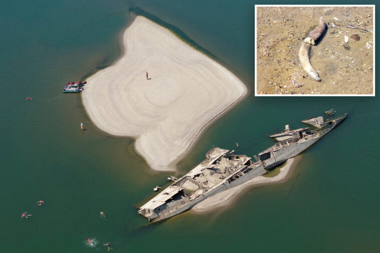 sunken-nazi-ships,-woolly-mammoth-bones-surface-as-danube-river’s-water-levels-drop to-record-low