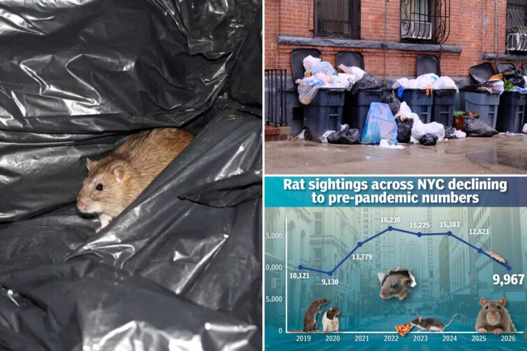 nyc-is-winning-the-‘war-on-rats,’-as-adams-era-measures-push-sightings-to-new-lows,-data-shows