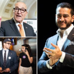 gop-cheers-abdul-el-sayed,-and-‘mini-mamdanis’-as-major-gift-for-2026-midterms
