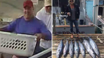 maine-fishing-town-outraged-after-smiling-goons-were-filmed-snatching-woman’s-lobster-catch