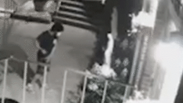 masked-man-caught-on-camera-smashing-virgin-mary-statue-with-a-hammer-outside-nyc-church