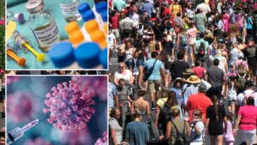 measles-panic-at-popular-socal-theme-park-after-infected-guest-roamed-for-hours