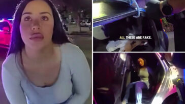 canadian-driver-allegedly-gave-false-name-before-deputies-discovered-12-fake-ids:-bodycam