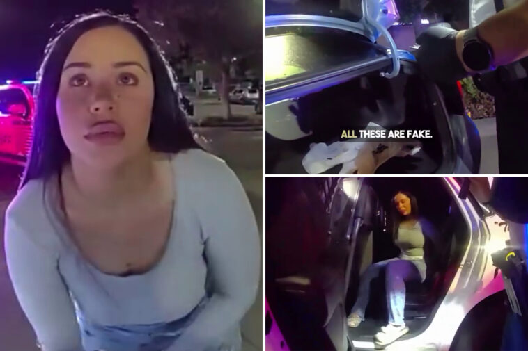canadian-driver-allegedly-gave-false-name-before-deputies-discovered-12-fake-ids:-bodycam