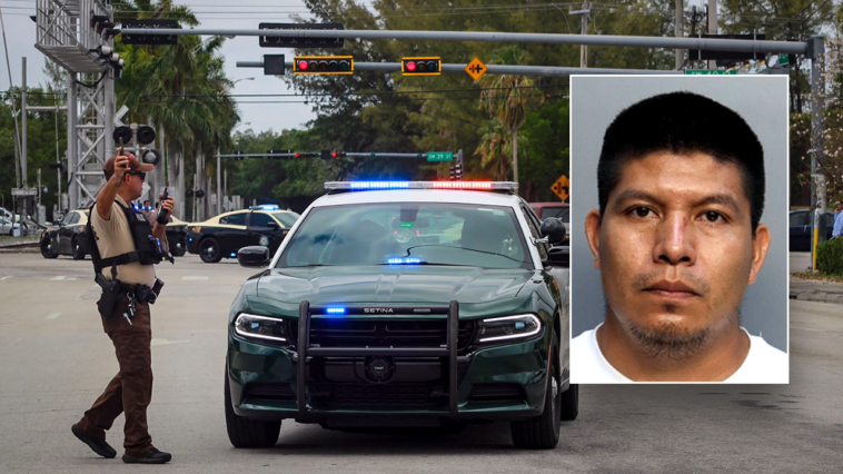 exclusive:-illegal-immigrant’s-hit-and-run-on-‘kind’-elderly-woman-triggers-ice-action:-‘could-hear-screaming’