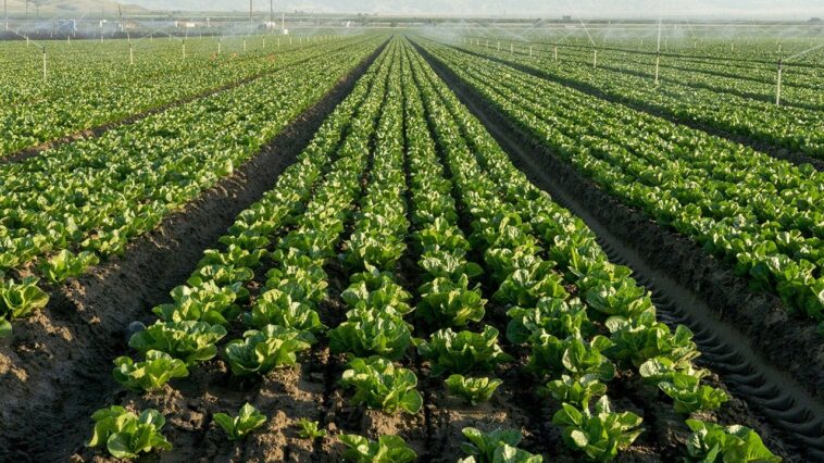 fda-widens-cyclospora-outbreak-investigation-to-six-more-states-as-confirmed-cases-top-6,000