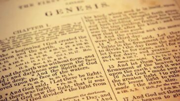 catholic-mount-st.-mary’s-university-in-maryland-requires-course-that-teaches-the-new-testament-through-‘racial-justice’-lens