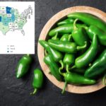 new-diarrhea-causing-outbreak-spreads-to-over-half-the-us-—-prompting-chipotle-menu-change