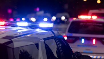 blue-state-paradise:-new-york-police-leader-and-ex-con-husband-helped-gang-banger-son-plan,-execute-failed-hit-job,-according-to-authorities