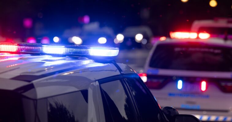 blue-state-paradise:-new-york-police-leader-and-ex-con-husband-helped-gang-banger-son-plan,-execute-failed-hit-job,-according-to-authorities