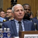 senate-joins-rest-of-nation-in-holding-fauci-in-contempt