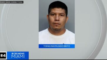 horror:-74-year-old-woman-on-life-support-after-being-run-over-by-drunk-illegal-alien-in-hit-and-run-in-miami-(video)