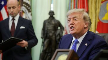trump-makes-another-attempt-to-end-birthright-citizenship