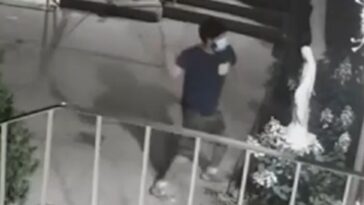 nypd-hate-crimes-unit-investigating-after-attack-on-church’s-mary-statue-is-caught-on-camera