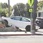 brothers-age-4-and-7-steal-parents’-car-before-crashing-into-dog-walker-in-unbelievable-scene