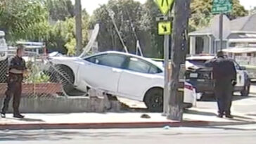 brothers-age-4-and-7-steal-parents’-car-before-crashing-into-dog-walker-in-unbelievable-scene