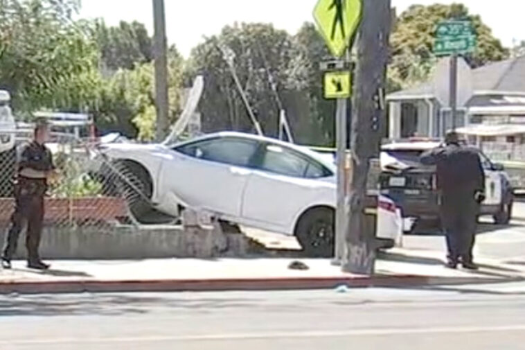 brothers-age-4-and-7-steal-parents’-car-before-crashing-into-dog-walker-in-unbelievable-scene