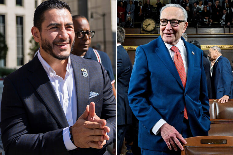 chuck-schumer-tepidly-endorses-abdul-el-sayed-—-after-the-guy-called-for-him-to-get-canned