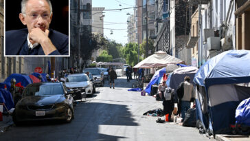 billionaire-handing-out-$150m-to-anyone-who-can-fix-san-francisco