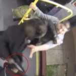 chilling-new-video-shows-racist-stabber’s-savage-la-metro-attack-before-life-sentence