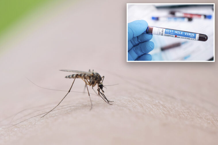 number-of-nyc-mosquito-pools-testing-positive-for-west-nile-virus-has-doubled-since-last-year:-health-officials