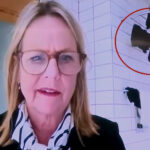 new-zealand-politician-caught-joining-city-council-meeting-from-bathroom-with-underwear-drying