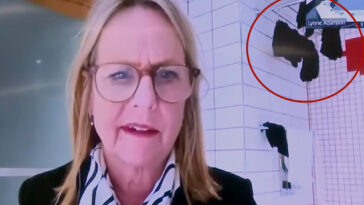 new-zealand-politician-caught-joining-city-council-meeting-from-bathroom-with-underwear-drying