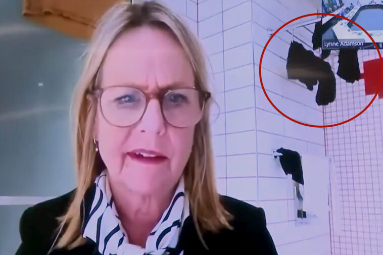 new-zealand-politician-caught-joining-city-council-meeting-from-bathroom-with-underwear-drying