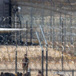 ice-expands-immigration-detention-capacity-with-2-more-corecivic-purchases