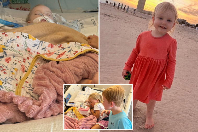 annelise-camp,-2,-dies-after-memorial-day-hotel-pool-drowning-incident-sparked-legal-battle