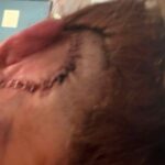 horror:-man-allegedly-beats-doordash-driver-and-mom-of-three-in-shocking-road-rage-incident,-leaving-her-with-horrific-brain-injuries