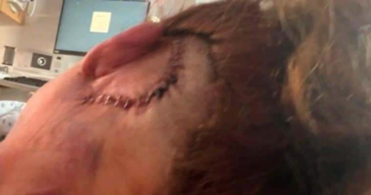 horror:-man-allegedly-beats-doordash-driver-and-mom-of-three-in-shocking-road-rage-incident,-leaving-her-with-horrific-brain-injuries