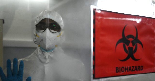 biosecurity-alert:-stanford-researchers-use-ai-to-design-16-viruses