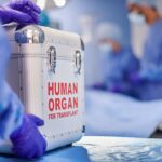 organ-harvesting-began-while-patients-still-showed-‘signs-of-life,’-federal-investigation-finds