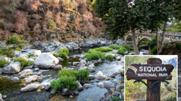 another-person-drowns-at-sequoia-national-park,-following-teen’s-death-earlier-this-summer