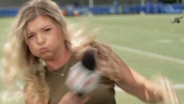 espn-reporter-fights-for-her-life-in-battle-with-rogue-beetle-at-la-rams-camp