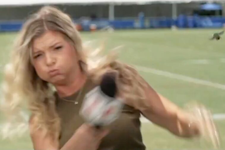 espn-reporter-fights-for-her-life-in-battle-with-rogue-beetle-at-la-rams-camp