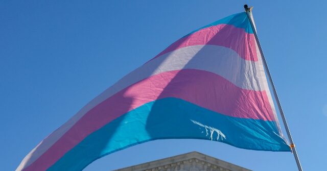 culture-wars:-majority-of-democrats-believe-differences-between-men-and-women-are-not-biological