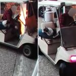 man-armed-with-flamethrower-and-his-canine-accomplice-set-house-on-fire-and-escape-on-golf-cart
