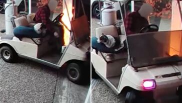 man-armed-with-flamethrower-and-his-canine-accomplice-set-house-on-fire-and-escape-on-golf-cart