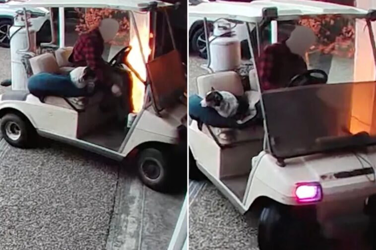 man-armed-with-flamethrower-and-his-canine-accomplice-set-house-on-fire-and-escape-on-golf-cart