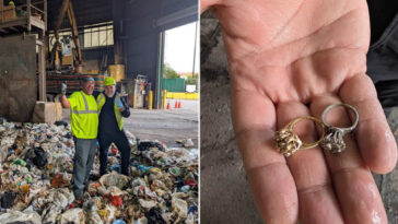 two-heirloom-rings-accidentally-lost-in-20,000-pounds-of-nyc-garbage-—-here’s-how-sanitation-helped-recover-them