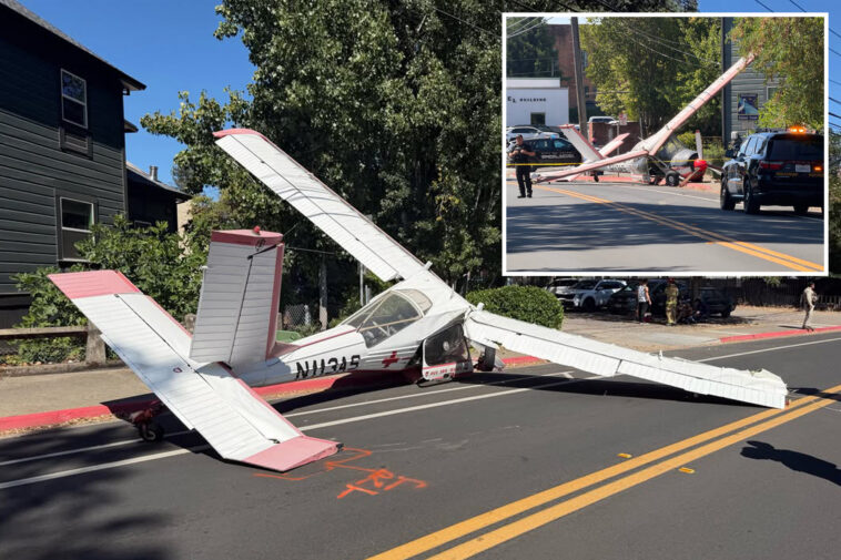 plane-makes-terrifying-crash-landing-on-main-street-in-sleepy-california-town