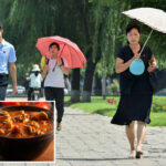 north-koreans-encouraged-to-eat-‘nutritious’-dog-meat-soup-during-sweltering-summer-heat