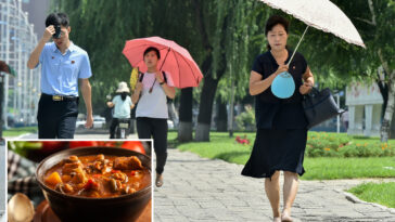 north-koreans-encouraged-to-eat-‘nutritious’-dog-meat-soup-during-sweltering-summer-heat
