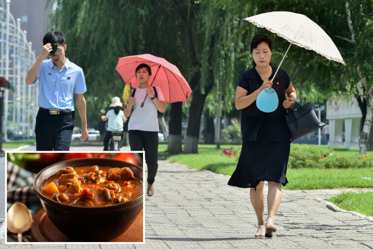 north-koreans-encouraged-to-eat-‘nutritious’-dog-meat-soup-during-sweltering-summer-heat