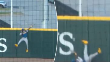 brewers-minor-leaguer-makes-catch-of-the-year-bid-with-unbelievable-home-run-robbery